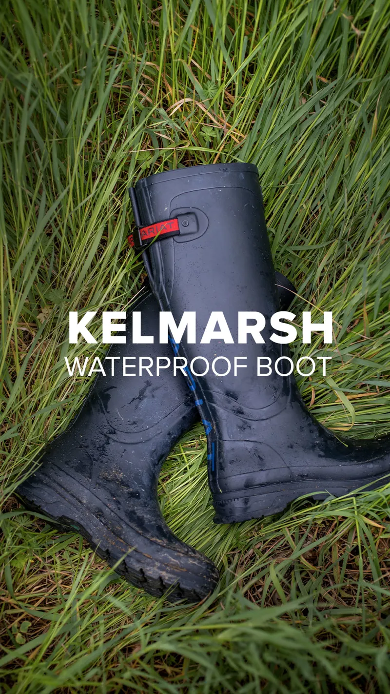 Ariat Ladies Kelmarsh Tall Rubber Boot - Grey-6